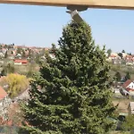 Arató * Pécs