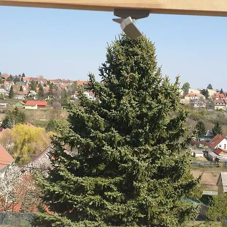 Arató * Pécs